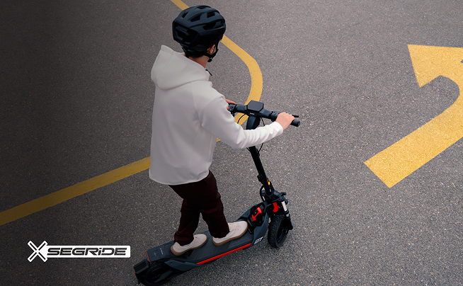 Segway eKickScooter ZT3 Pro